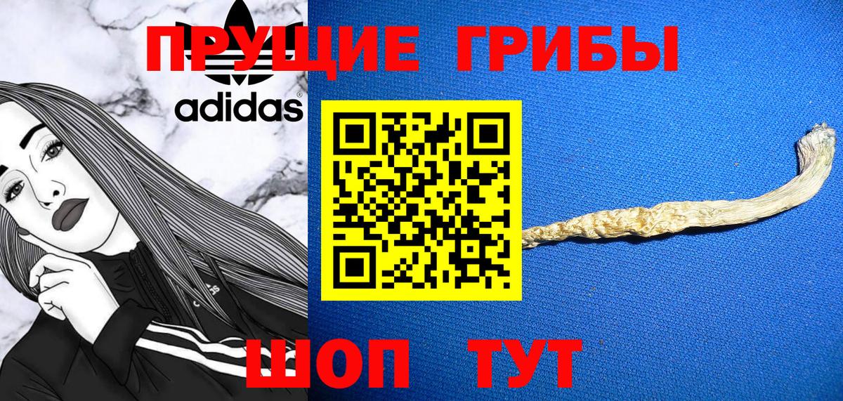 Псилоцибиновые грибы ЛСД Златоуст
