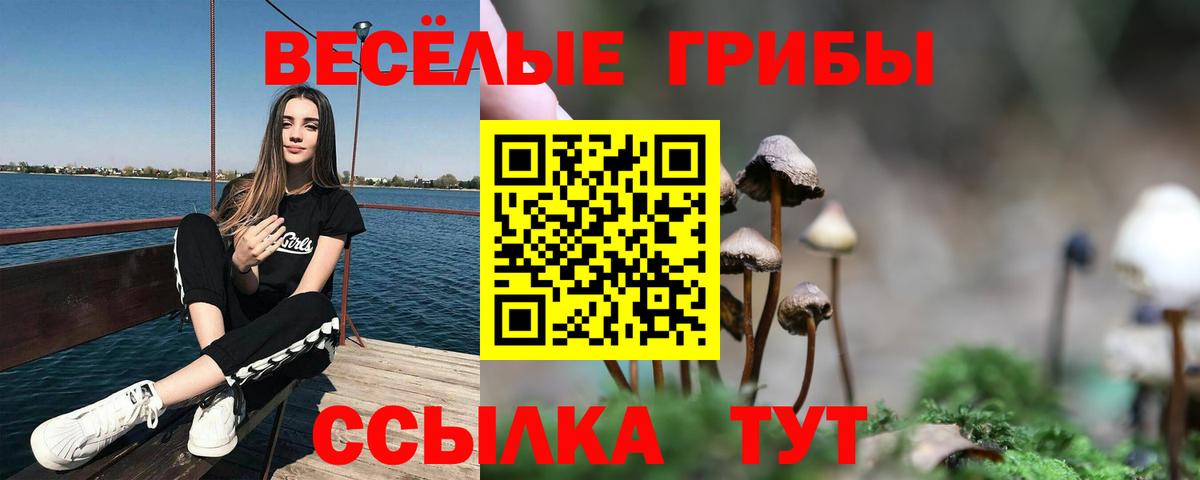Псилоцибиновые грибы мицелий  Псилоцибиновые грибы мухоморы  Вход с VPN  Златоуст 